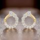 Sophia Crystal Solid