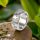 Designer Crystal Silver