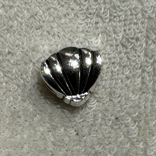Shell Shine Mini